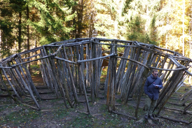 strutture di legno